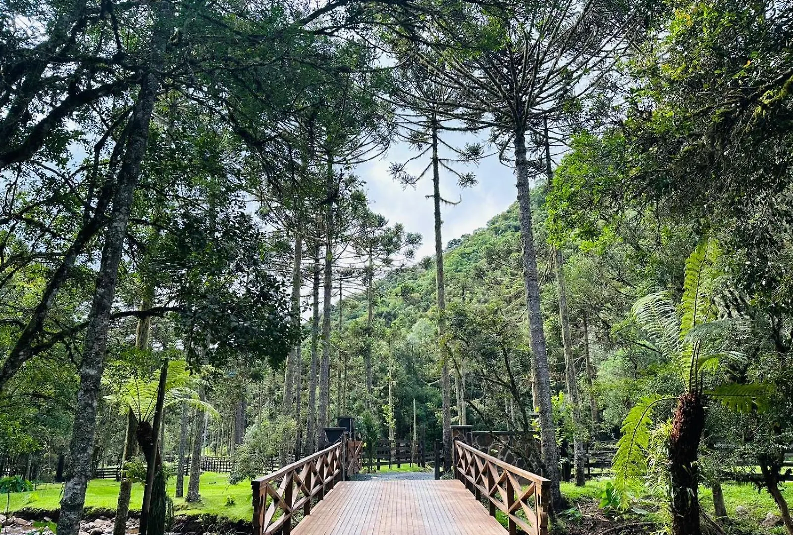 Vale Dos Bugres Eco House- Cabana Das Flores Urubici 0*,